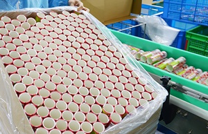 市面上紙罐包裝價格波動大嗎？